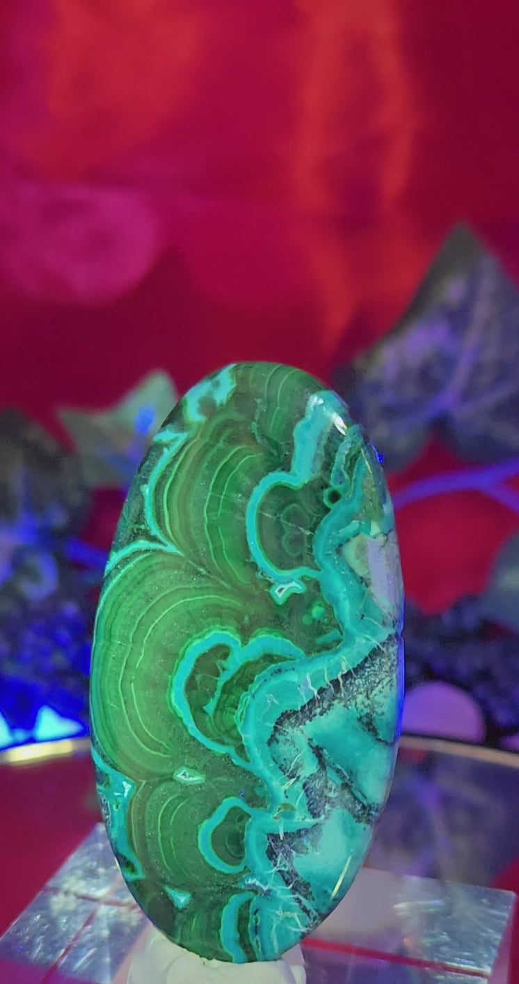 MALACHITE CHRYSACOLLA CABOCHON