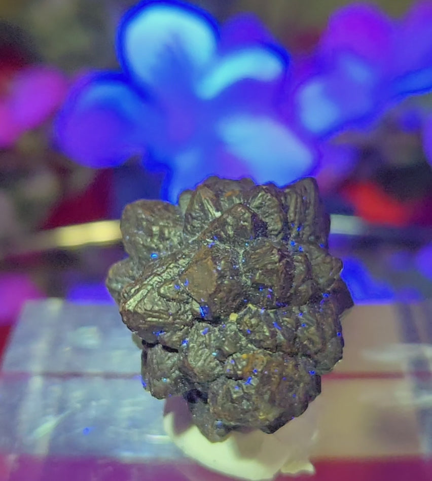 PROPHECY STONE