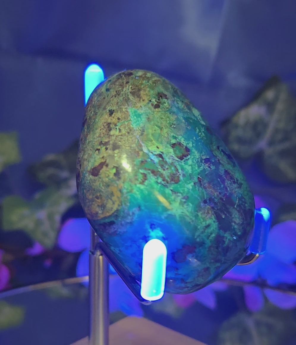 AZURITE CHRYSOCOLLA PALM STONE