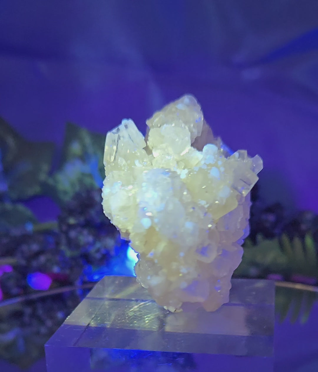 APOPHYLLITE - GYROLITE - PREHNITE