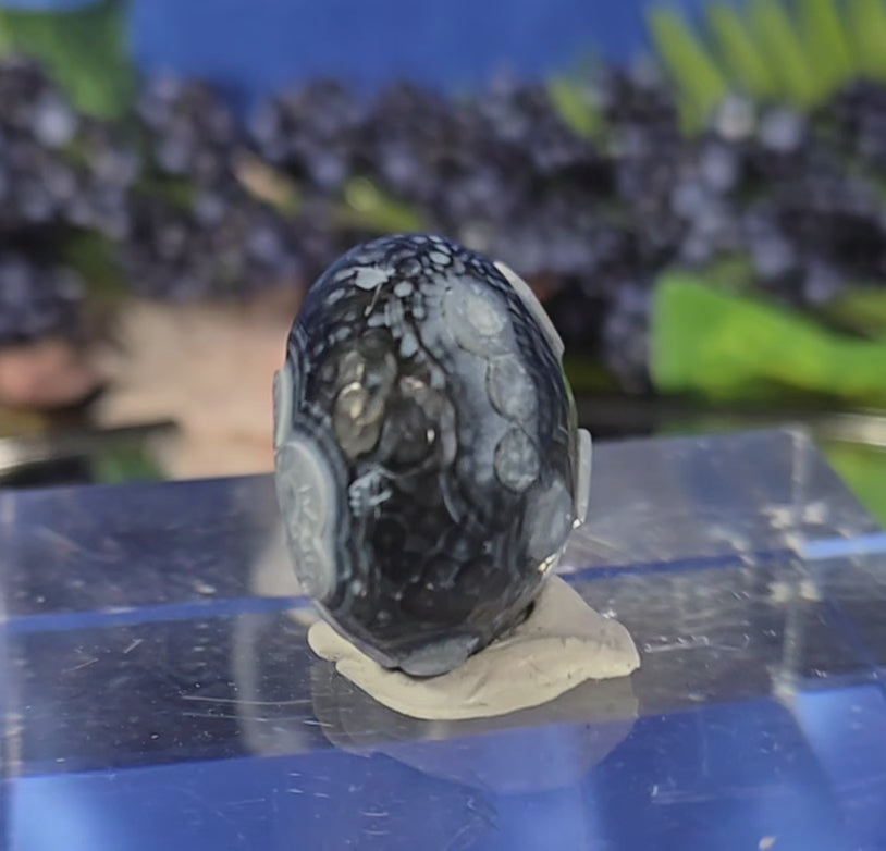 GOBI AGATE