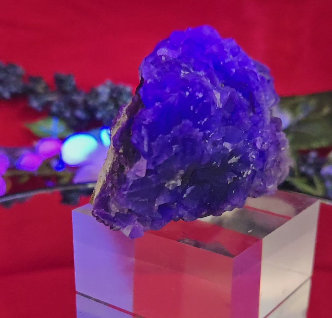 YGX FLUORITE