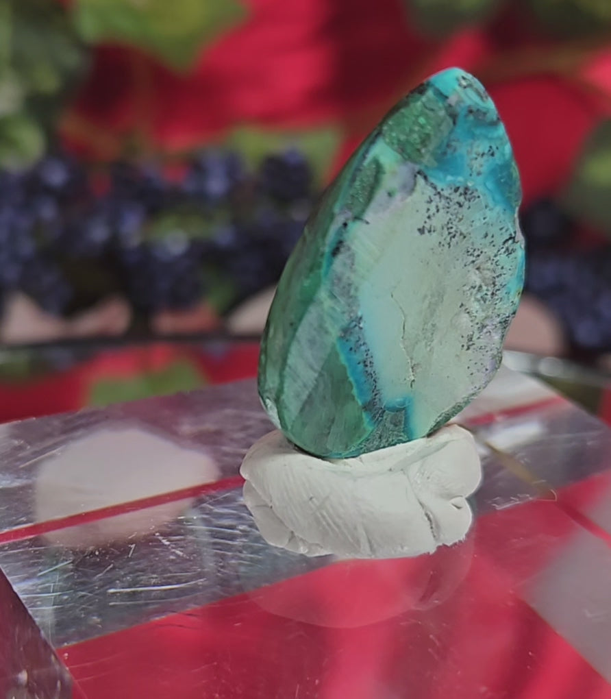 MALACHITE CHRYSACOLLA CABOCHON