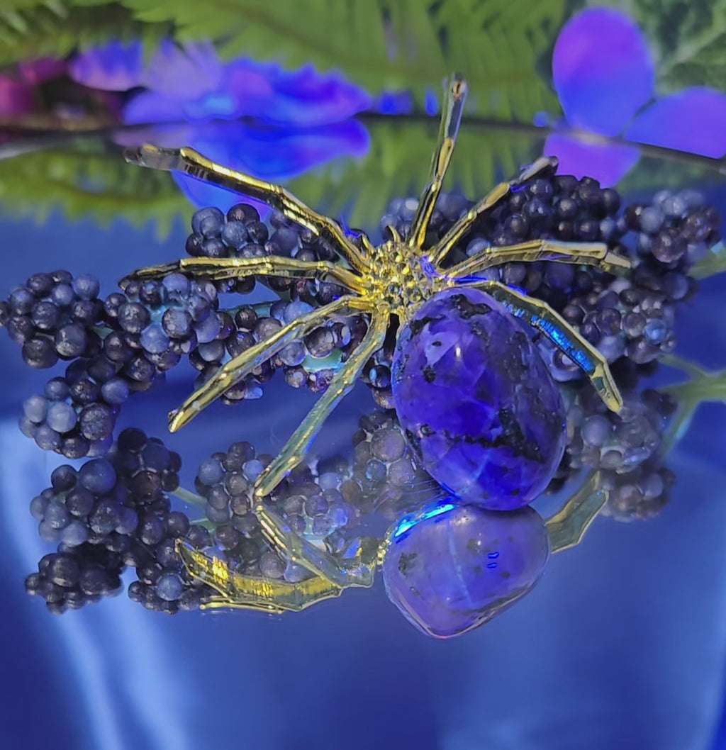 LARVAKITE SPIDER