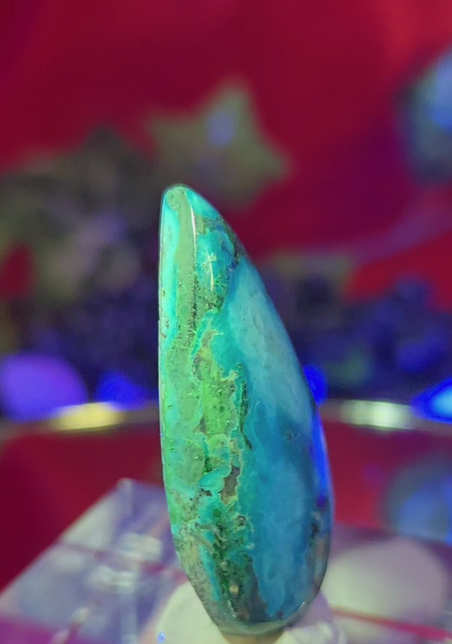 MALACHITE CHRYSACOLLA CABOCHON