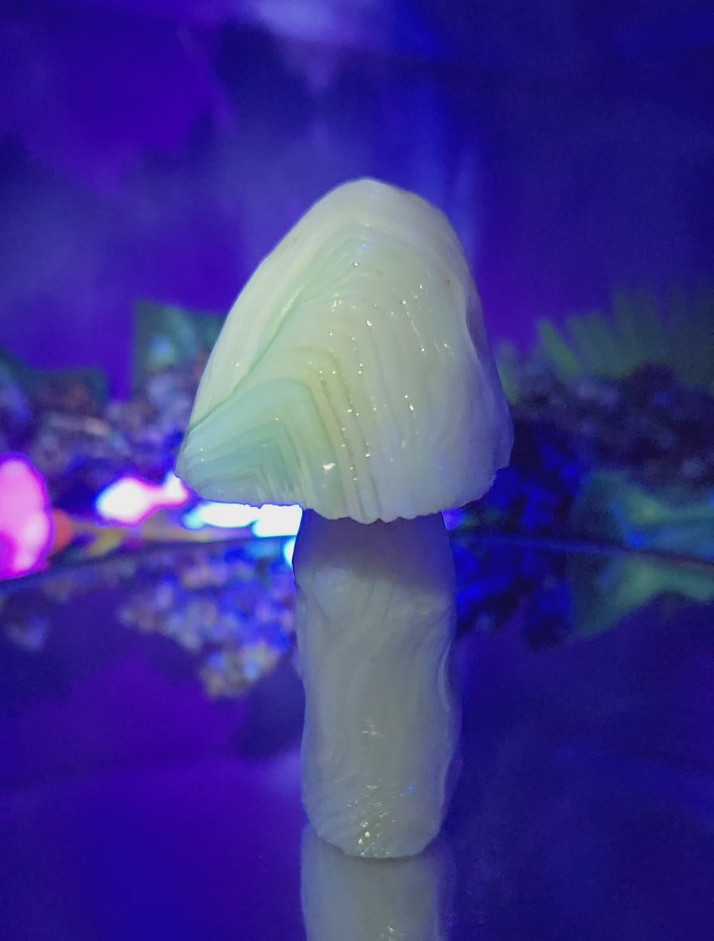 GOBI MUSHROOM AGATE