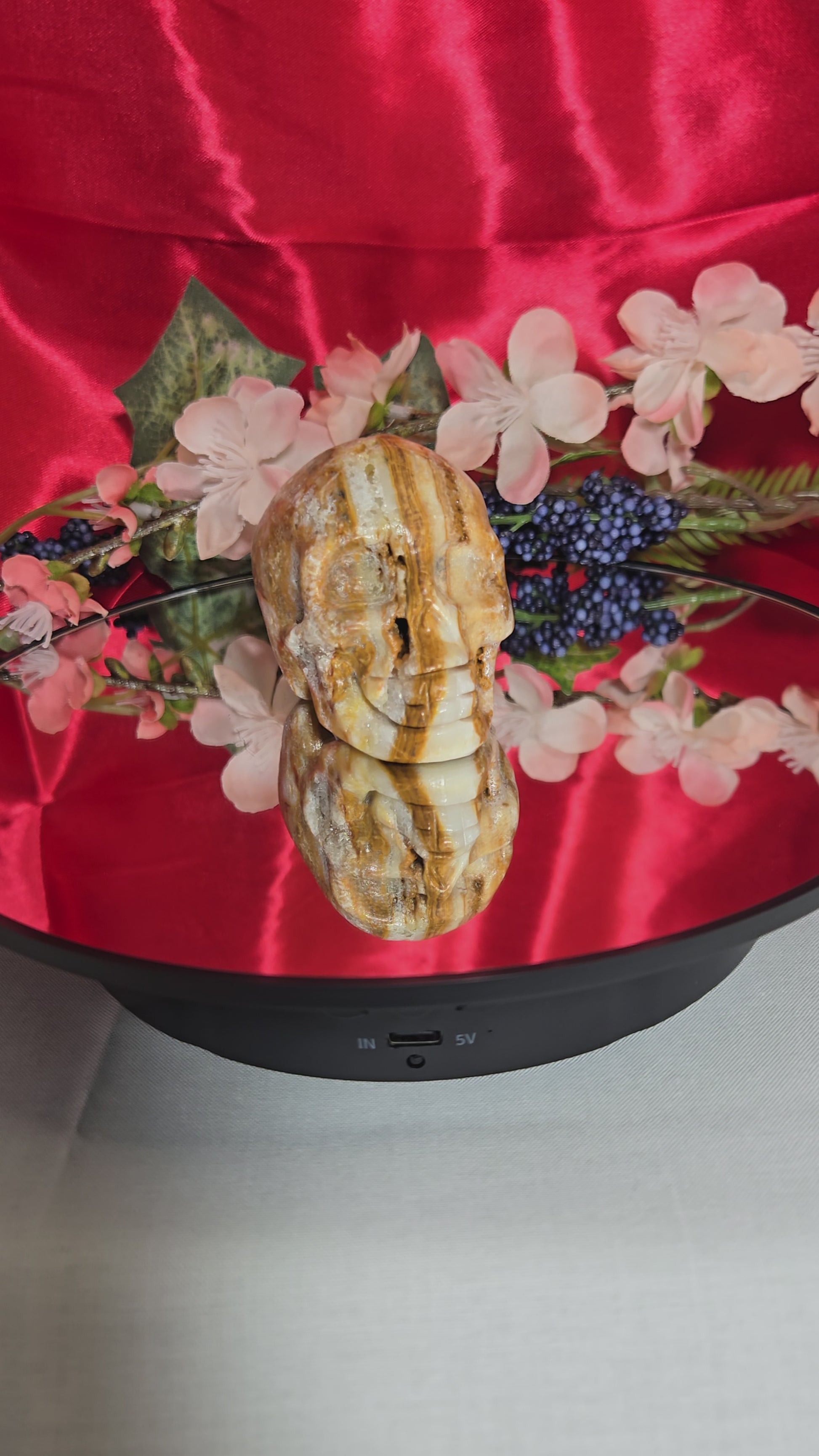 PETRIFIED WOOD SKULL