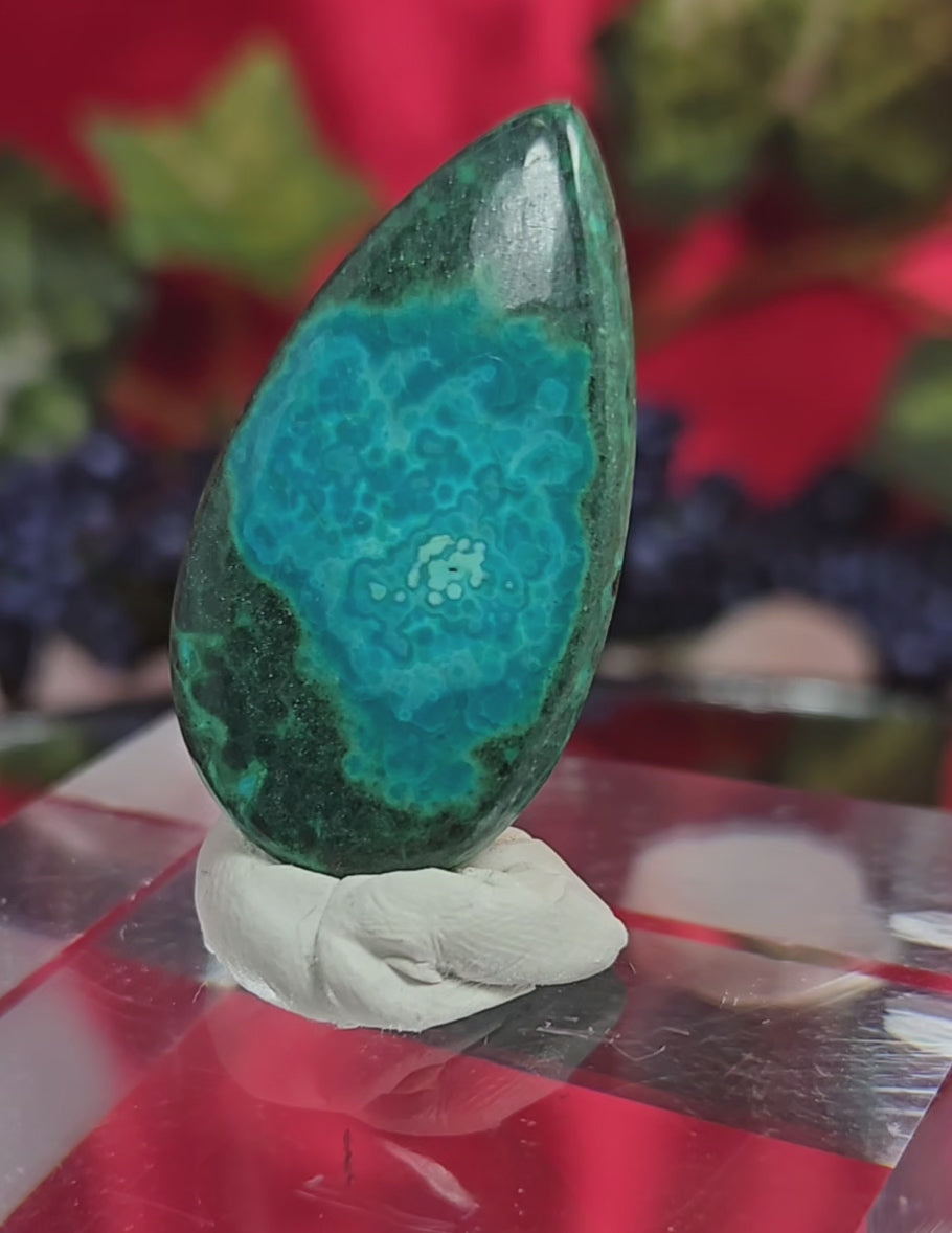 MALACHITE CHRYSACOLLA CABOCHONO