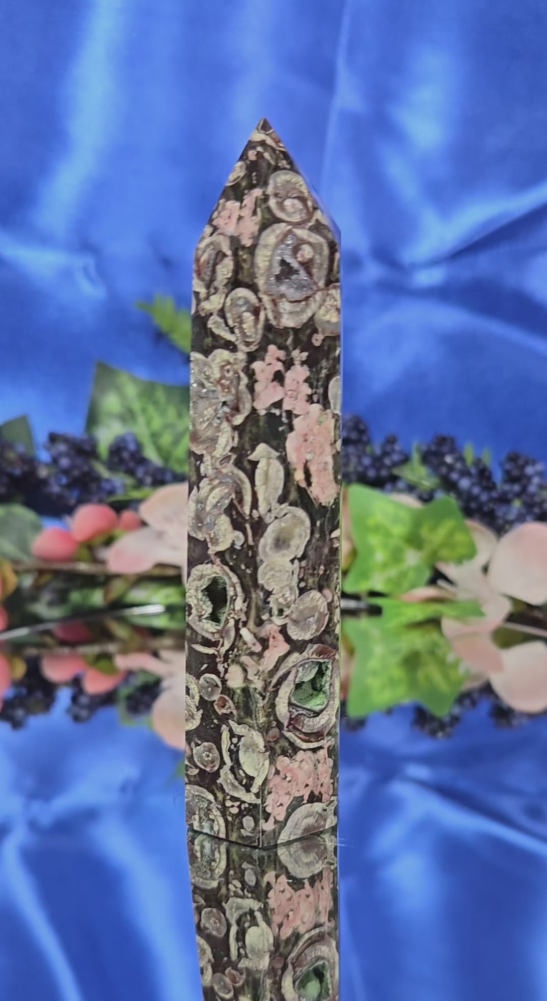 FOSSILIZED STROMBITE