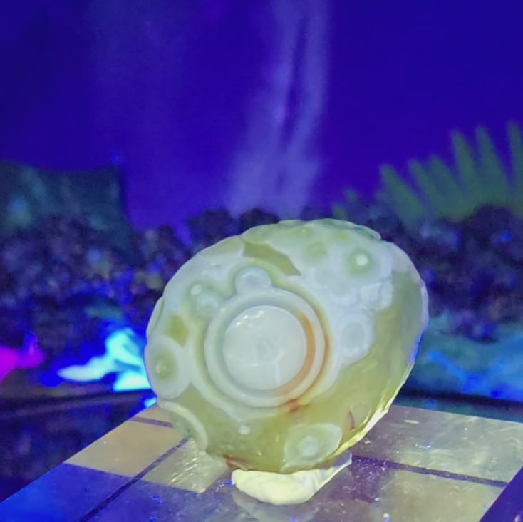 GOBI AGATE