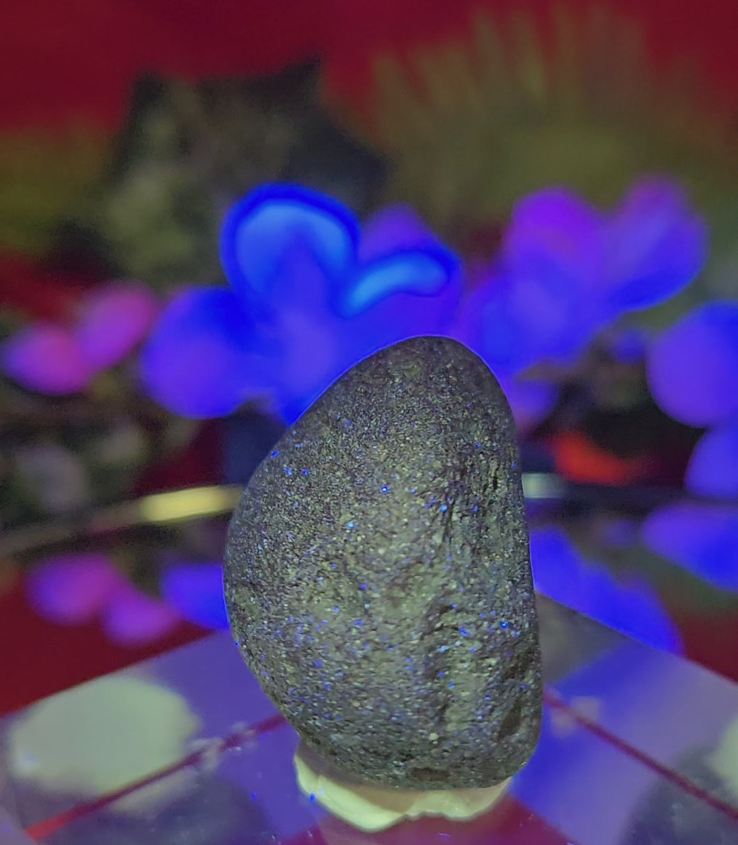 TEKTITE