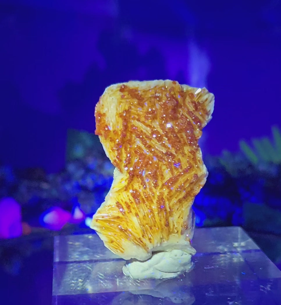 VANADINITE CLUSTER