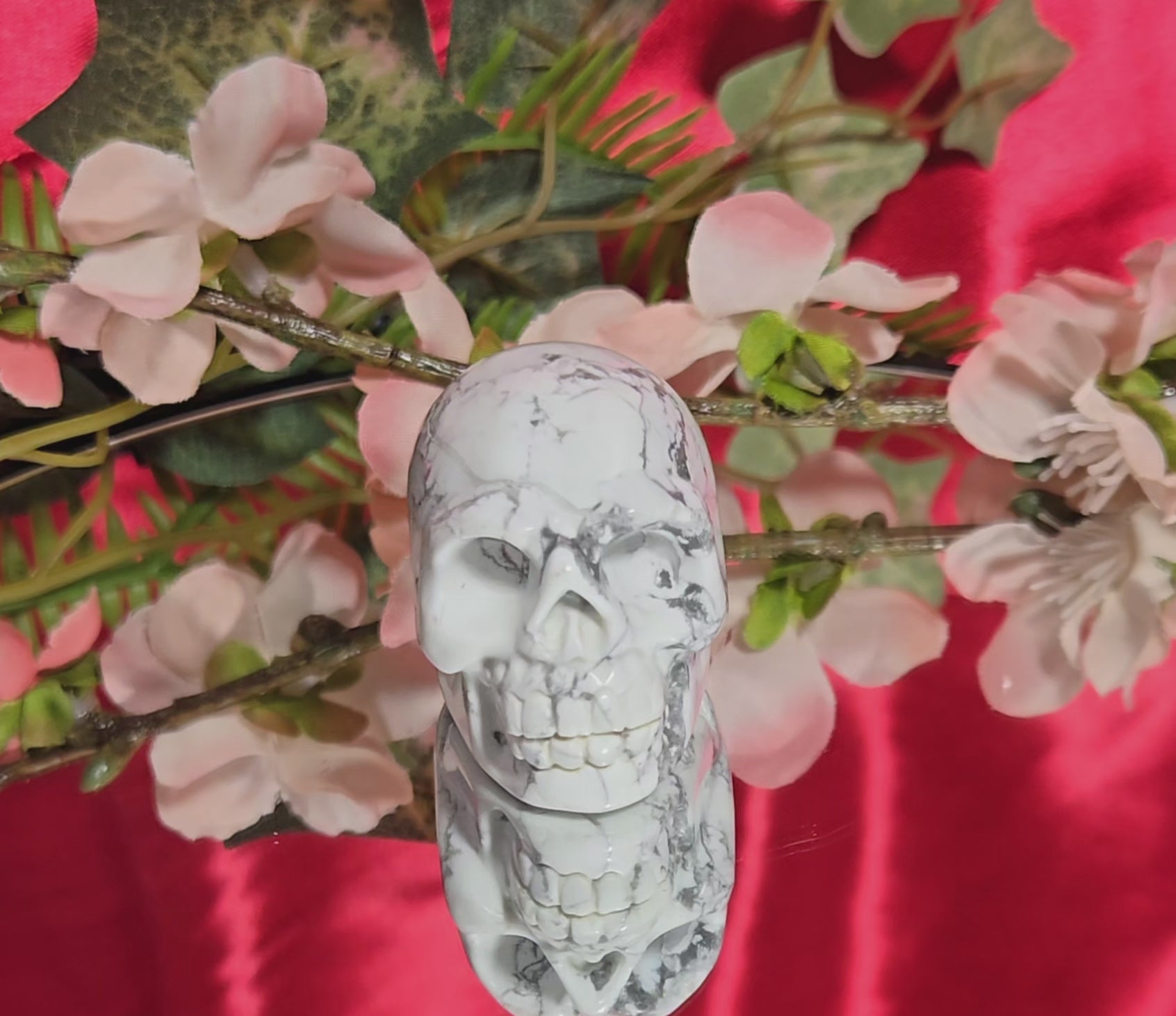 HOWLITE SKULL