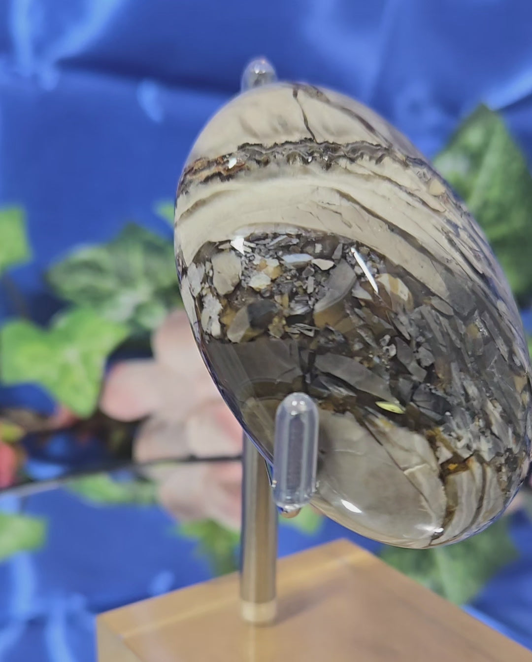 SEPTARIAN PALM STONE