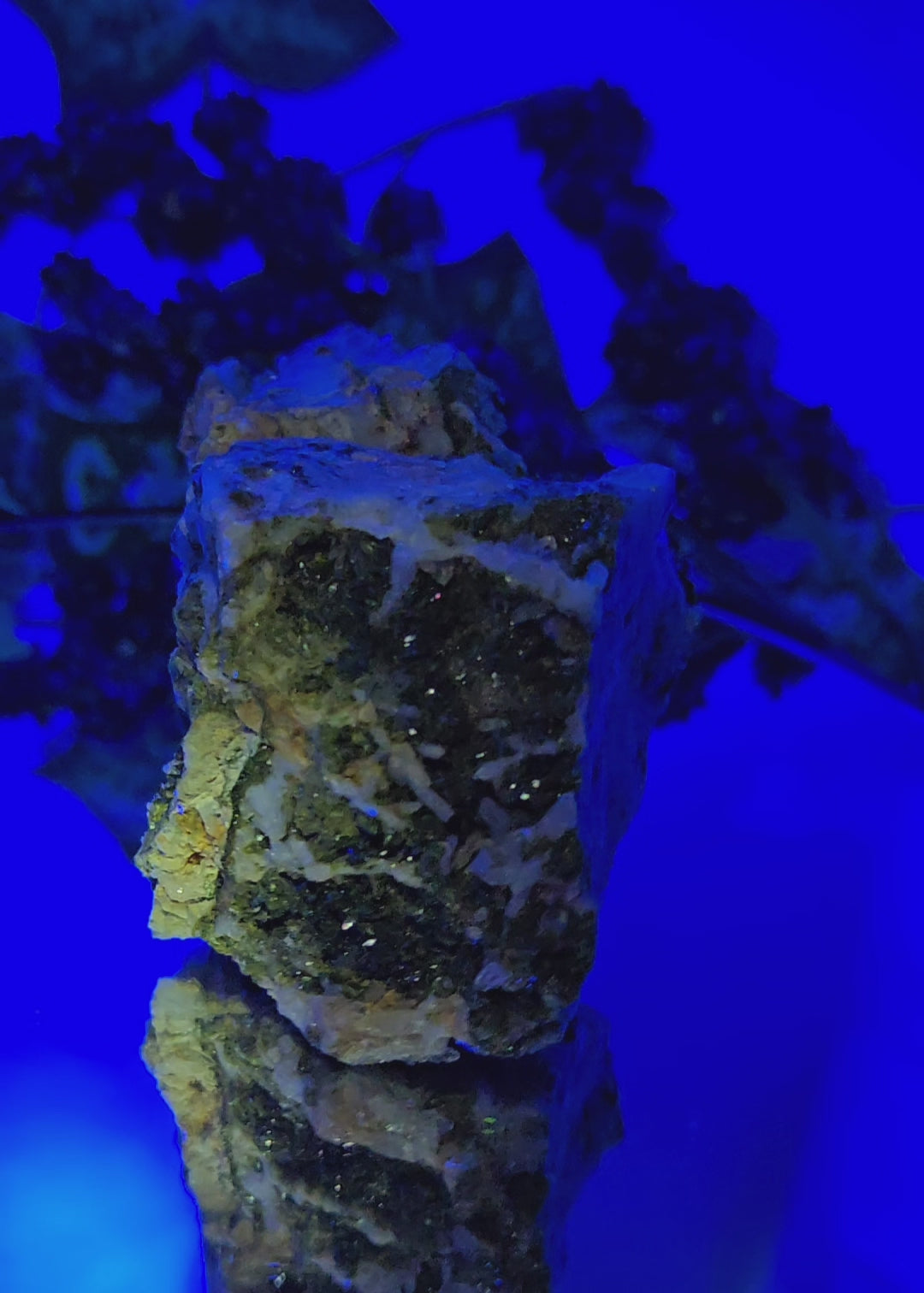 CHRYSOCOLLA