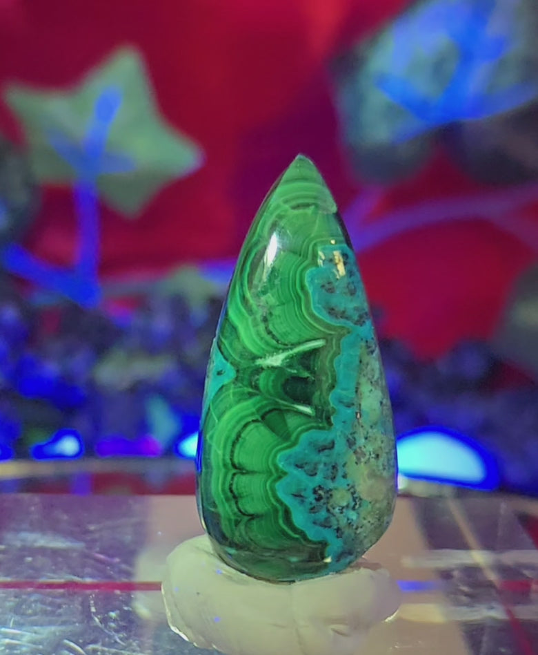 MALACHITE CHRYSACOLLA CABOCHON