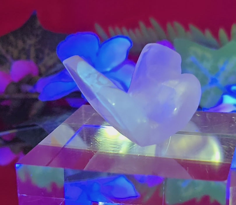 ROSE QUARTZ BUTTERFLY