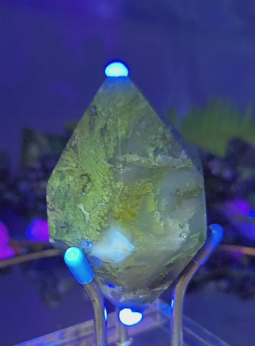 MOSS DIAMOND WITH STAND