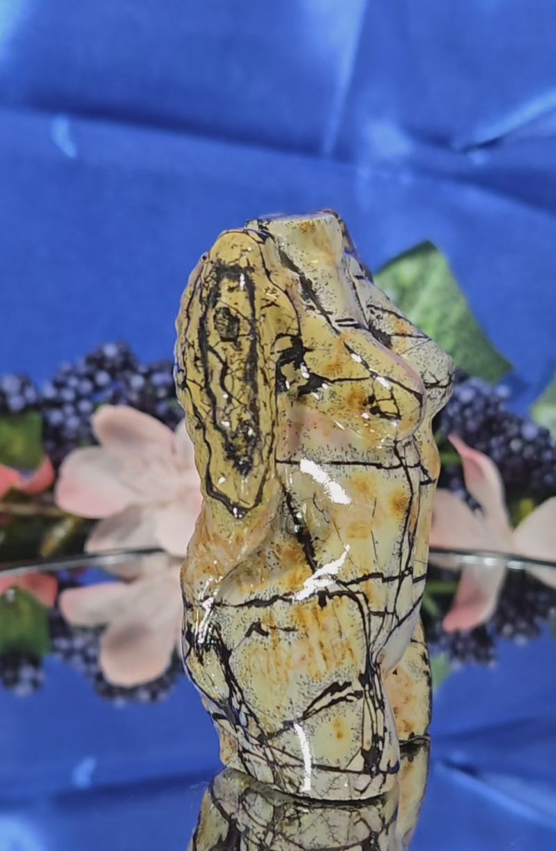 PICTURE JASPER BODY