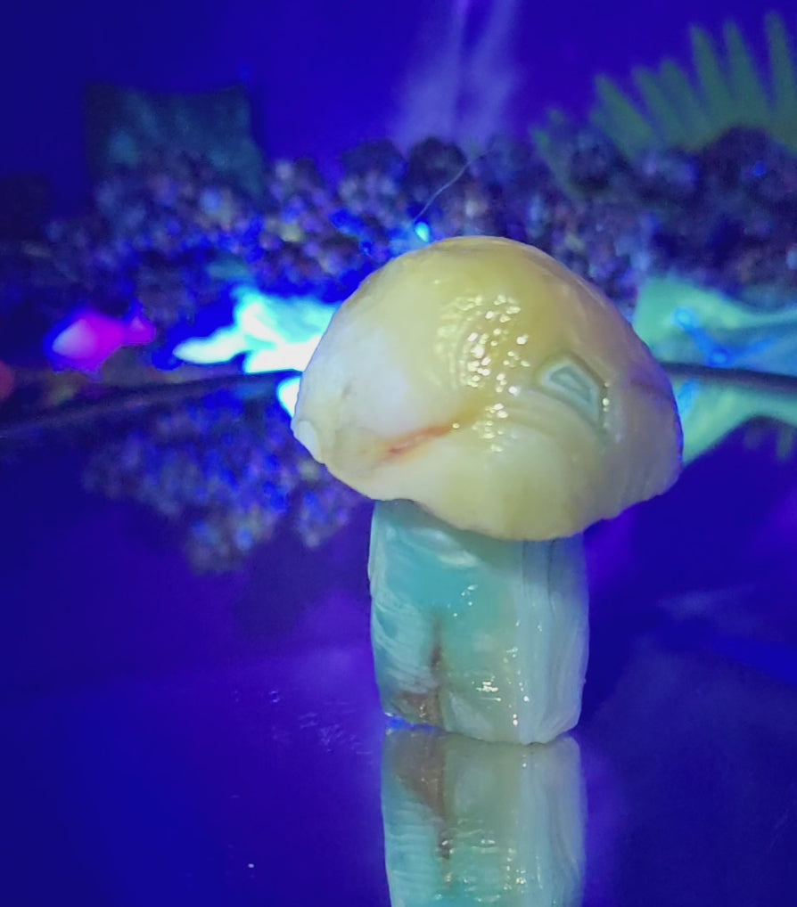 GOBI MUSHROOM AGATE