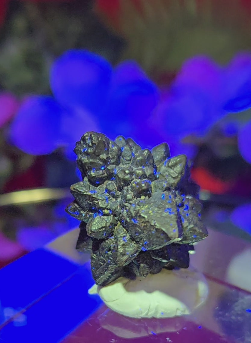 PROPHECY STONE