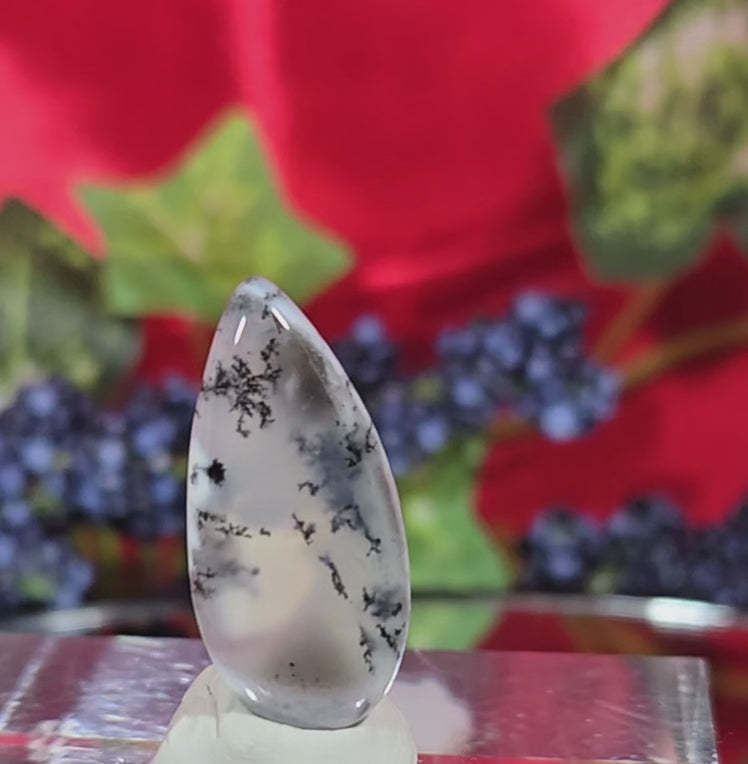 DENDRITE CABOCHON
