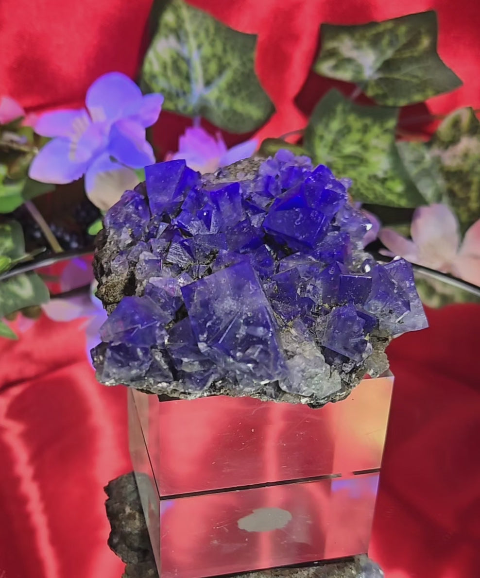 FLUORITE