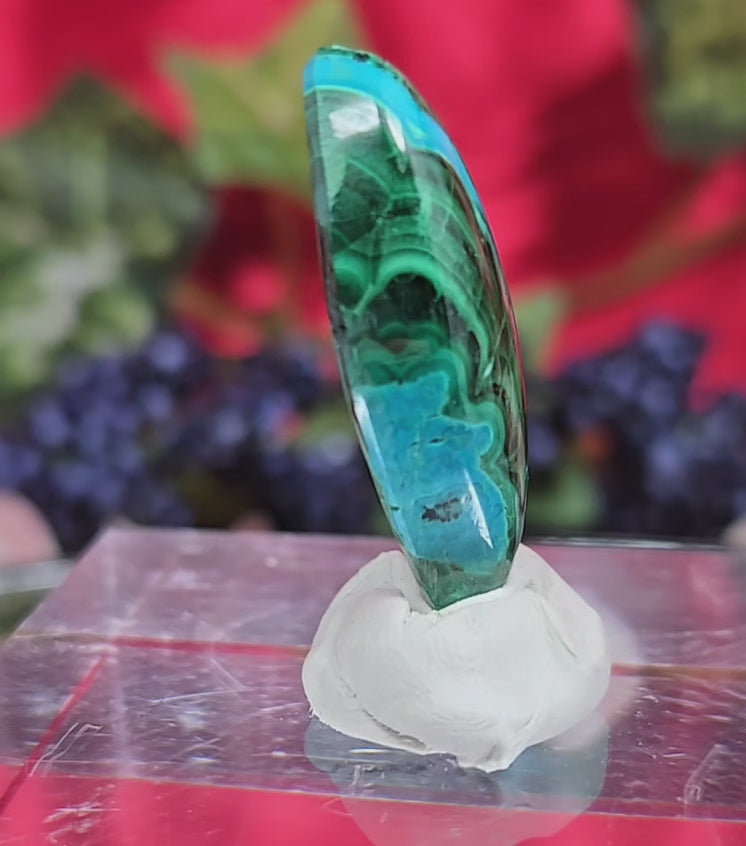 MALACHITE CHRYSACOLLA CABOCHON