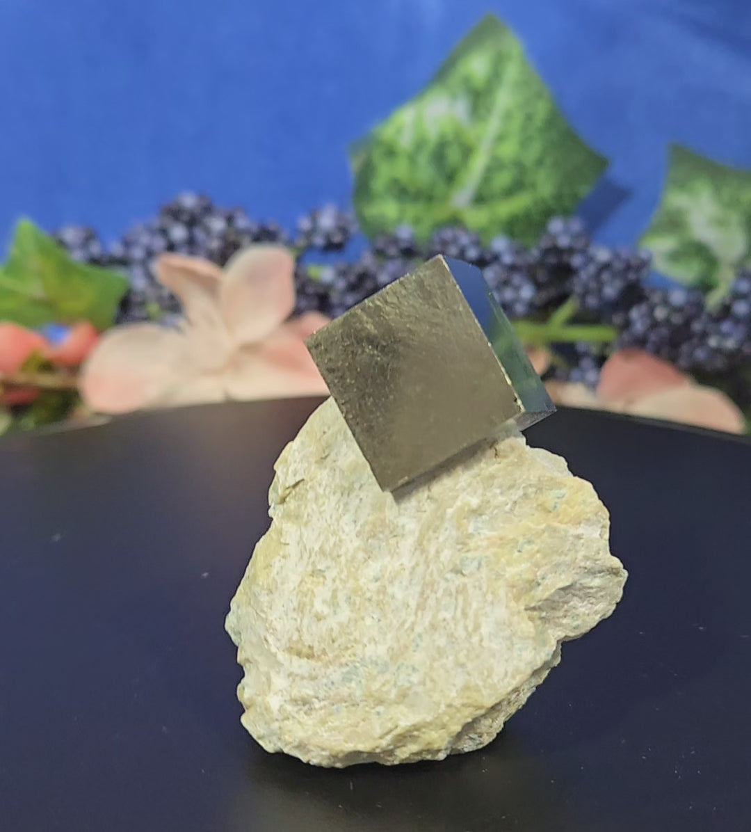 PYRITE ON BARITE