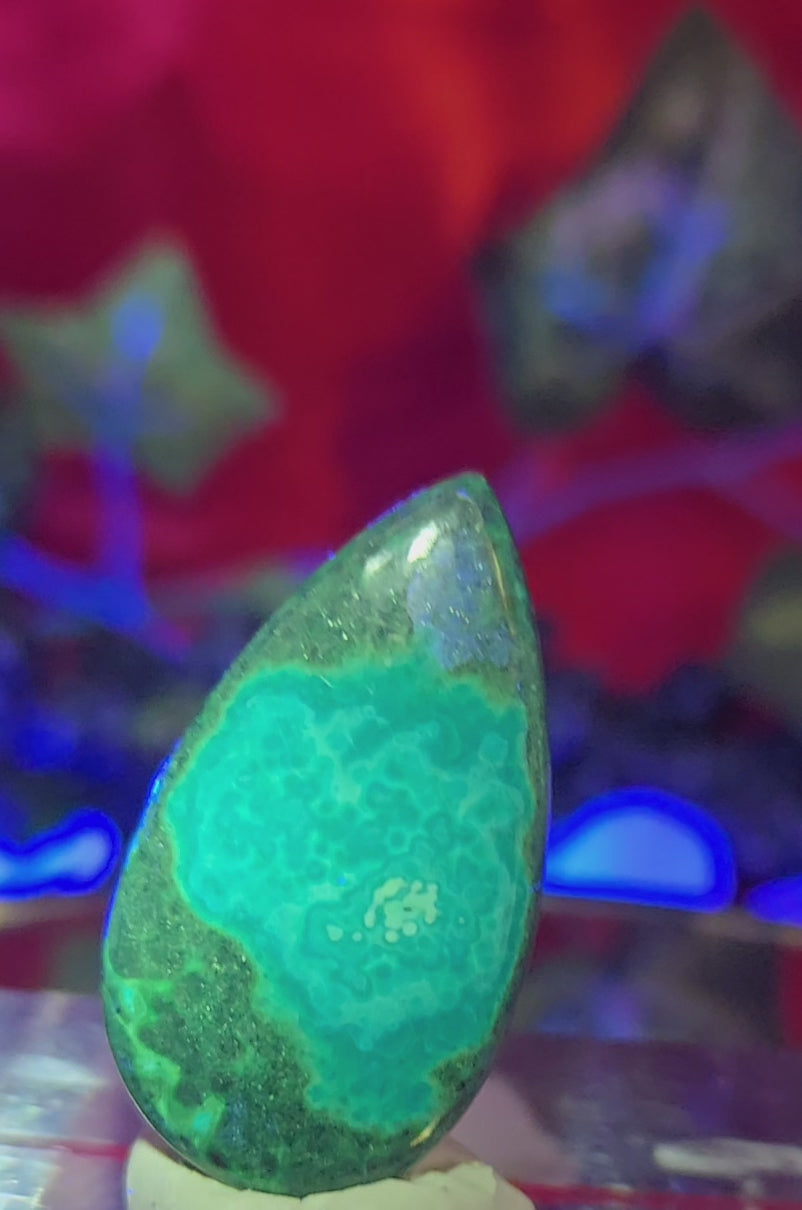 MALACHITE CHRYSACOLLA CABOCHONO