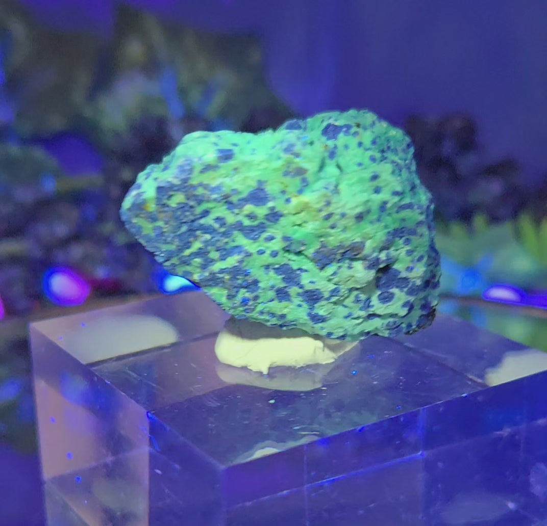 CHRYSOCOLLA
