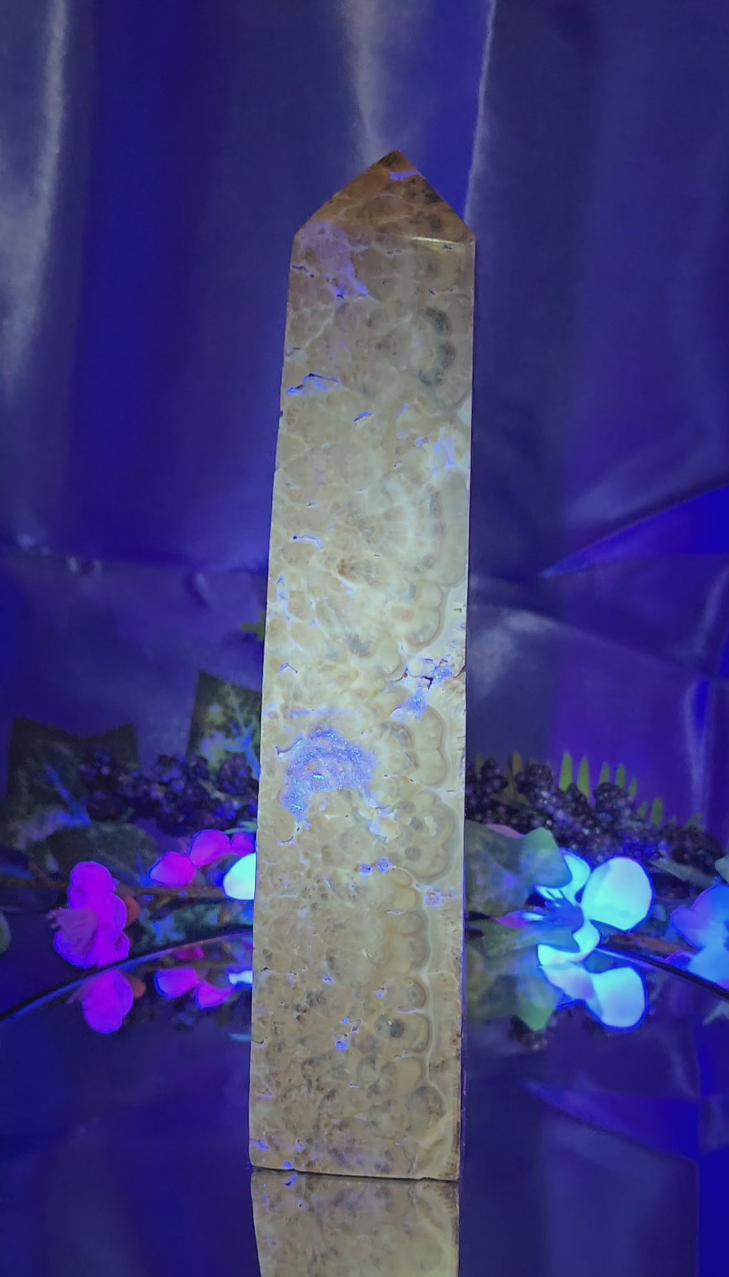 STROMATOLITE TOWER