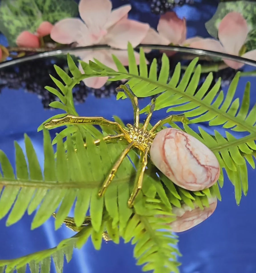 RED VEIN JASPER SPIDER