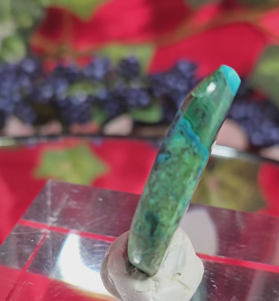 MALACHITE CHRYSACOLLA CABOCHON