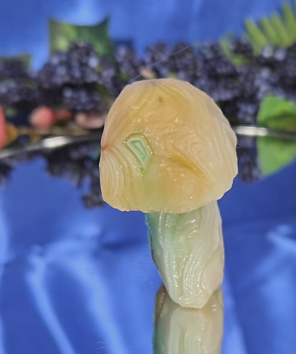 GOBI MUSHROOM AGATE
