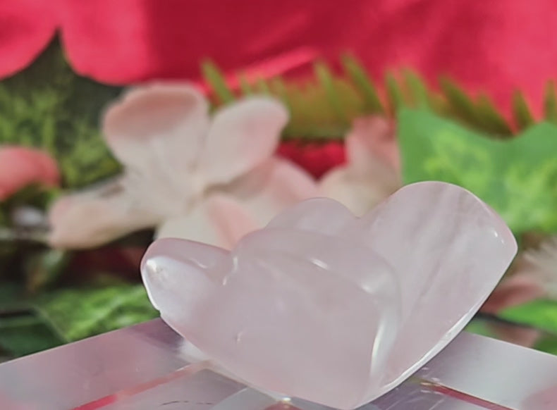 ROSE QUARTZ BUTTERFLY