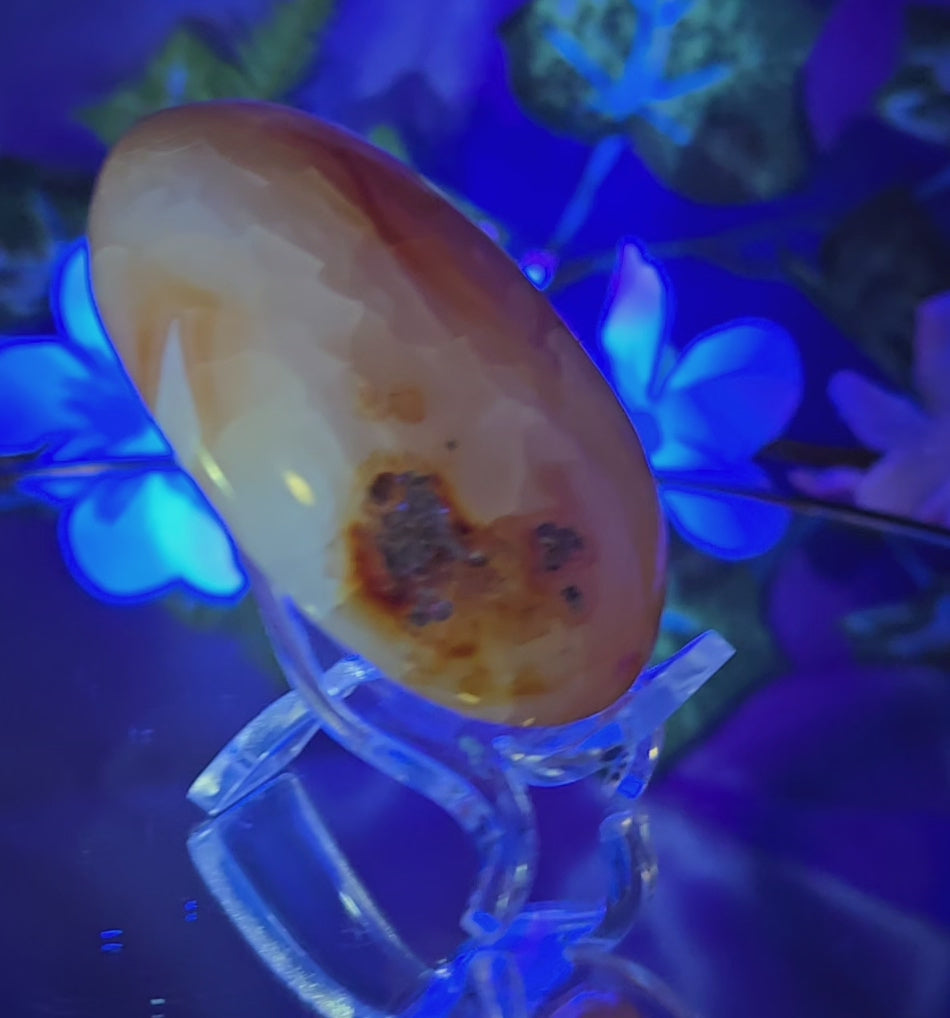 CARNELIAN PALM STONE