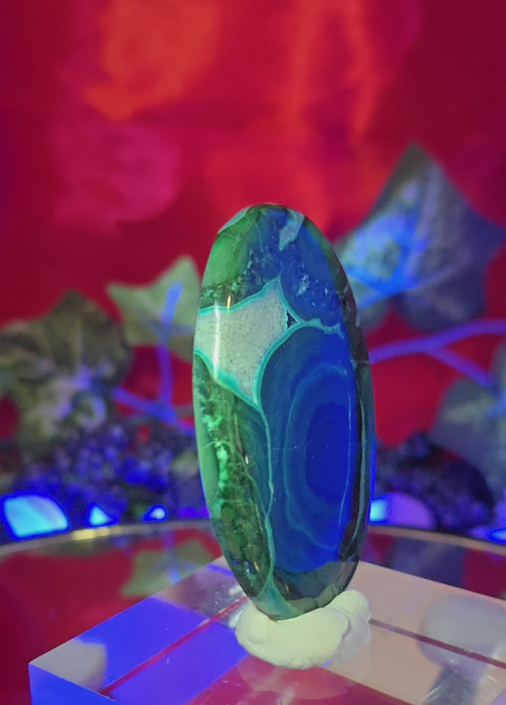 MALACHITE CHRYSACOLLA CABOCHON