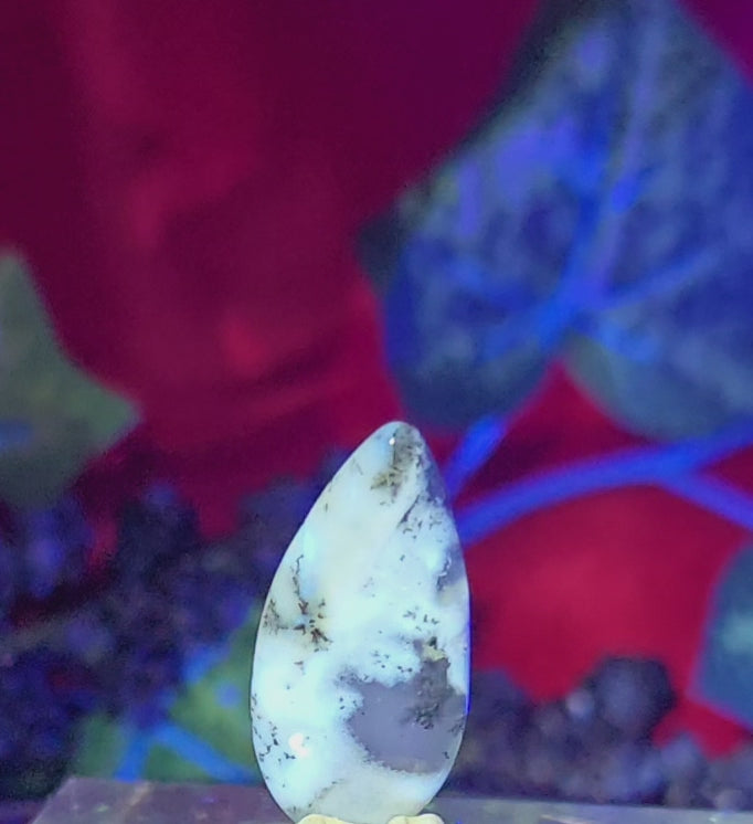DENDRITE CABOCHON