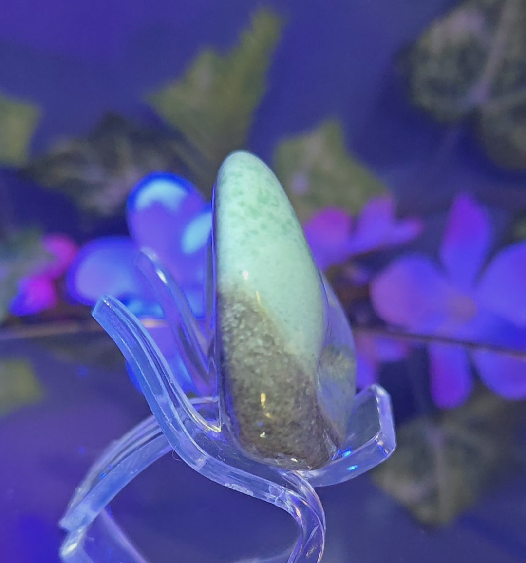 TROLLEITE PALM STONE