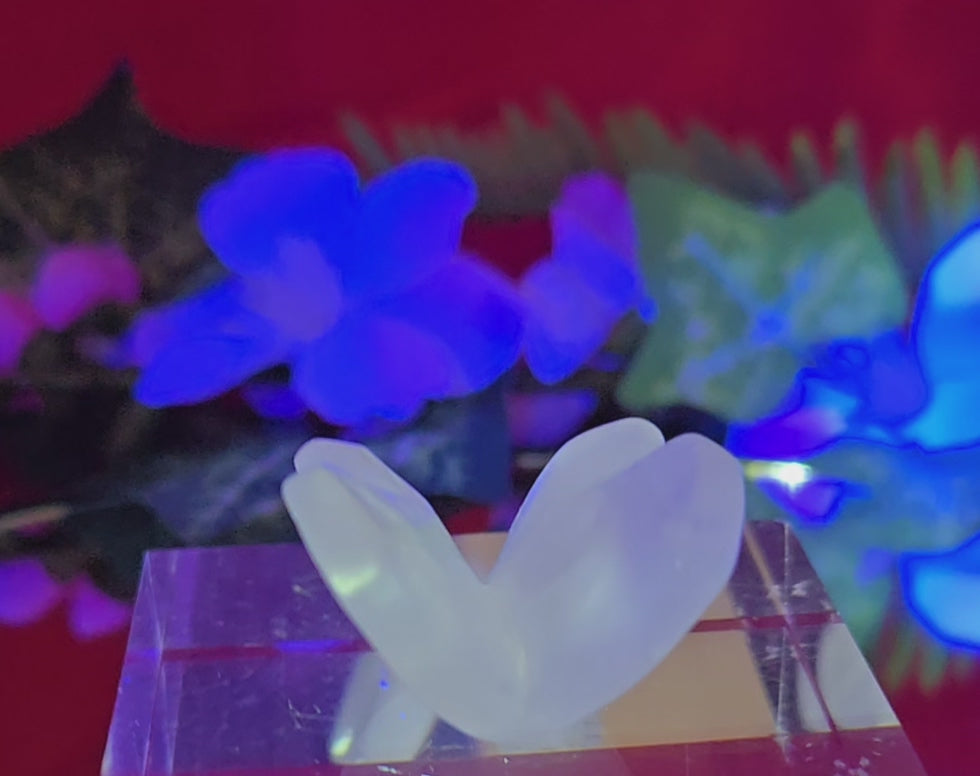 ROSE QUARTZ BUTTERFLY