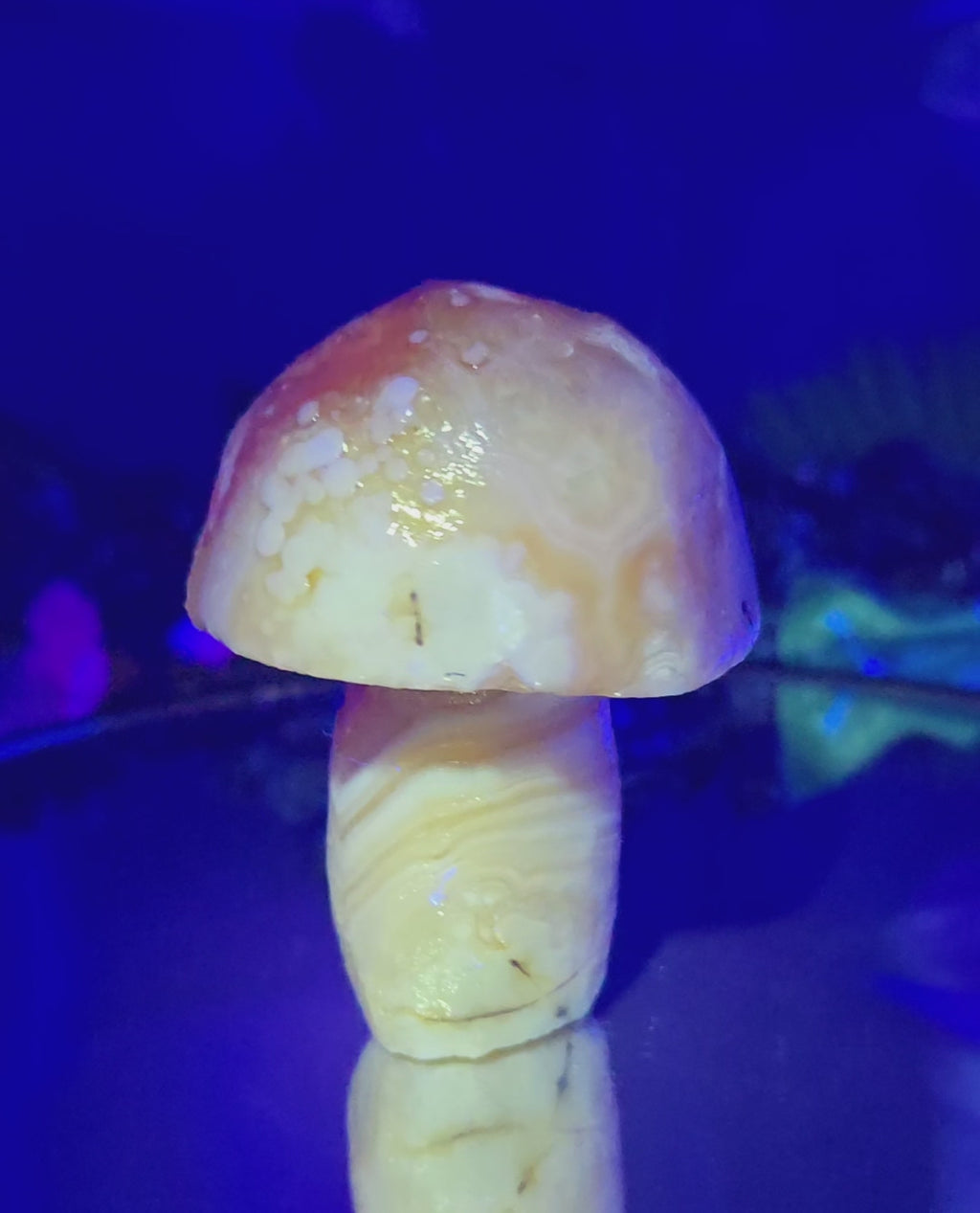 GOBI MUSHROOM AGATE