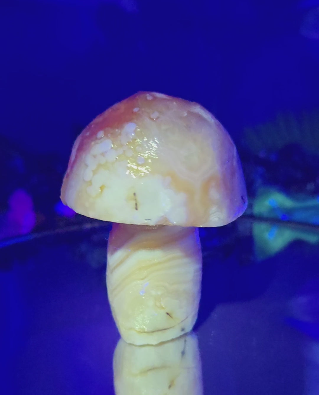 GOBI MUSHROOM AGATE