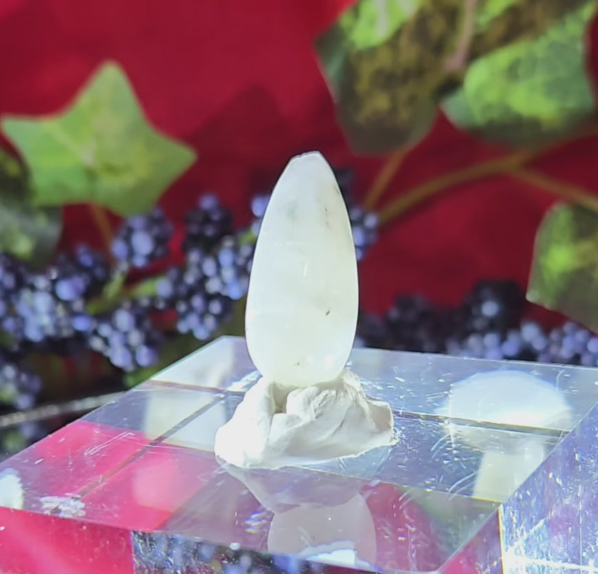 MOONSTONE CABOCHON