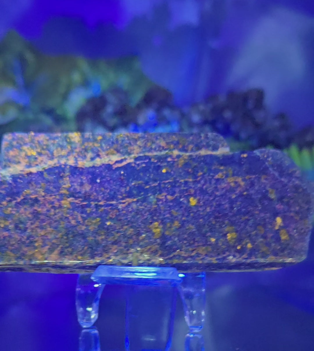 LAPIS LAZULI SLAB
