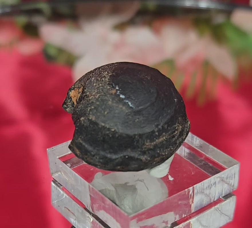 TEKTITE