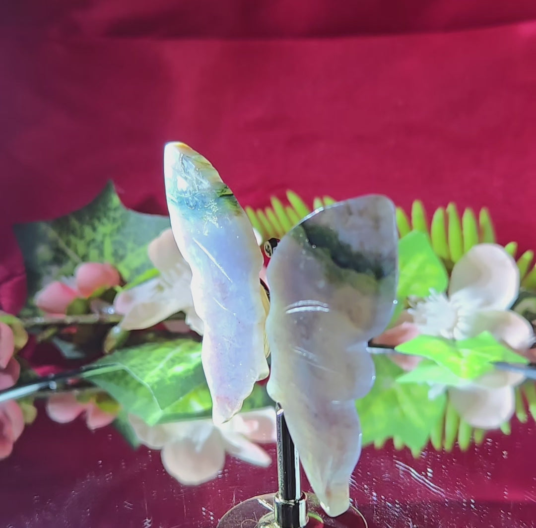 OCEAN JASPER BUTTERFLY