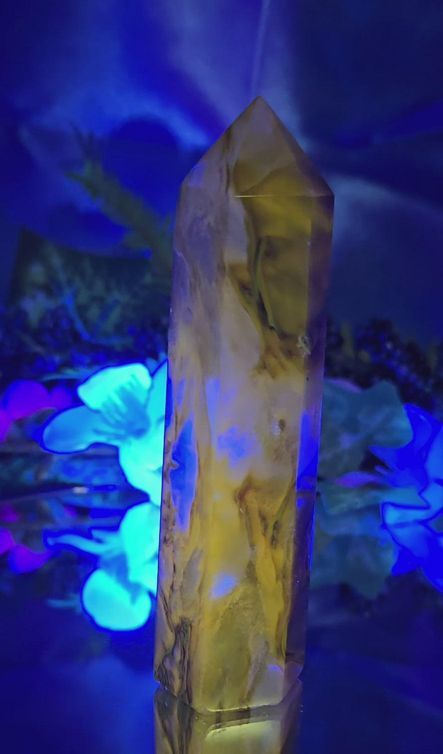 BUMBLE BEE JASPER