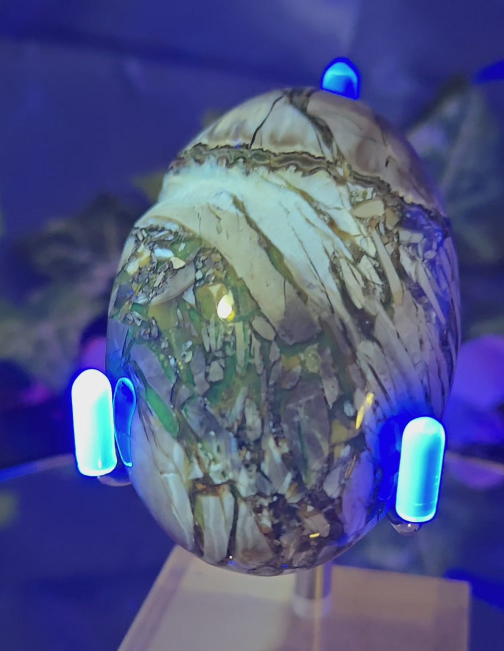 SEPTARIAN PALM STONE