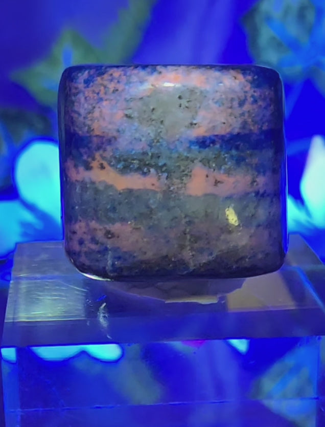 LAPIS LAZULI PALMSTONE